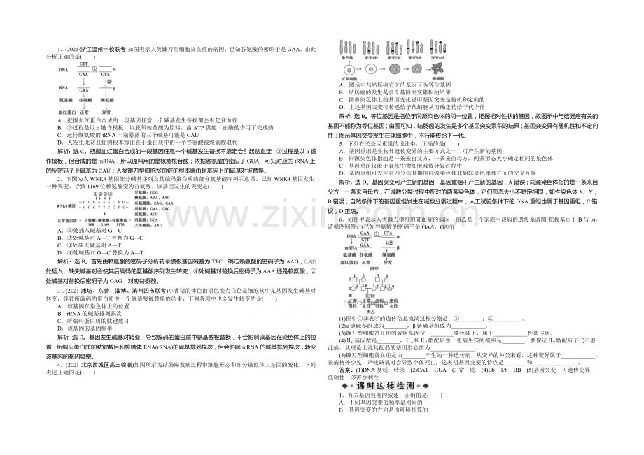 2021年高考生物(人教版)一轮复习强化练习：基因突变和基因重组.docx_第1页