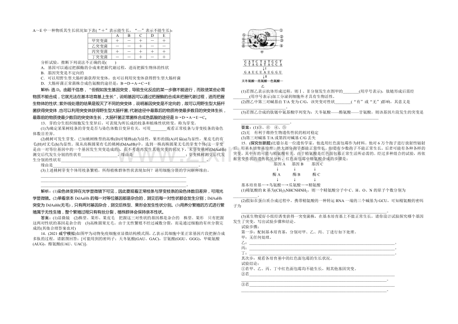 2021年高考生物(人教版)一轮复习强化练习：基因突变和基因重组.docx_第3页