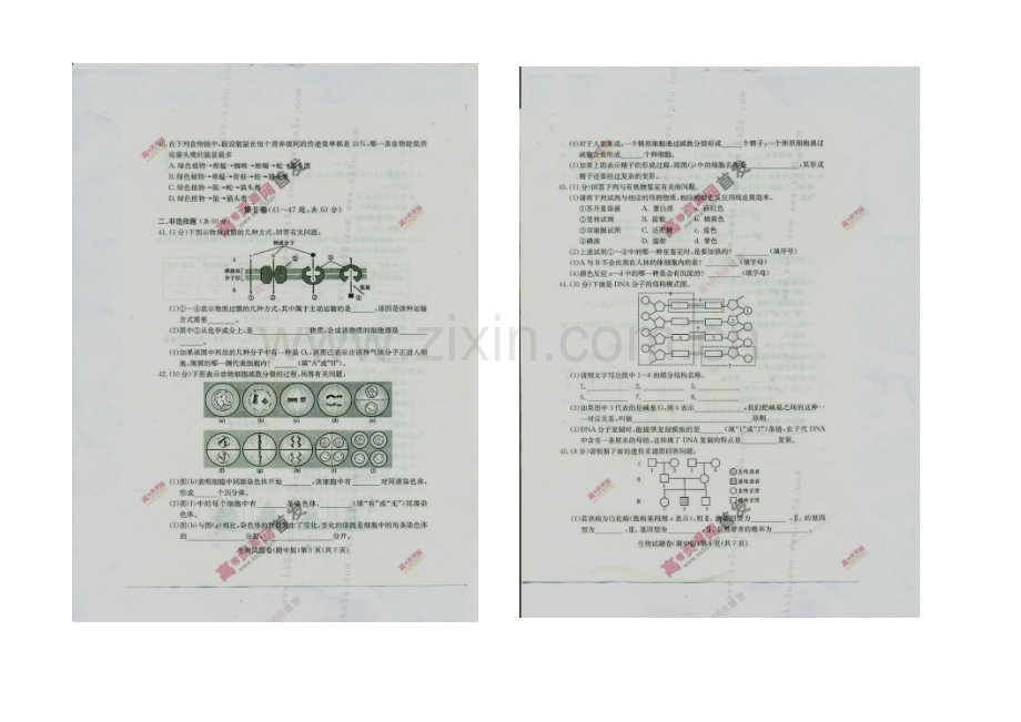 2021年湖南省普通高中学业水平考试模拟试卷一(附中版)-生物-扫描版含答案.docx_第3页