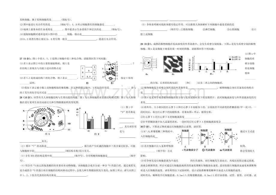 江西省白鹭洲中学2020-2021学年高一下学期第一次月考-生物-Word版含答案.docx_第3页