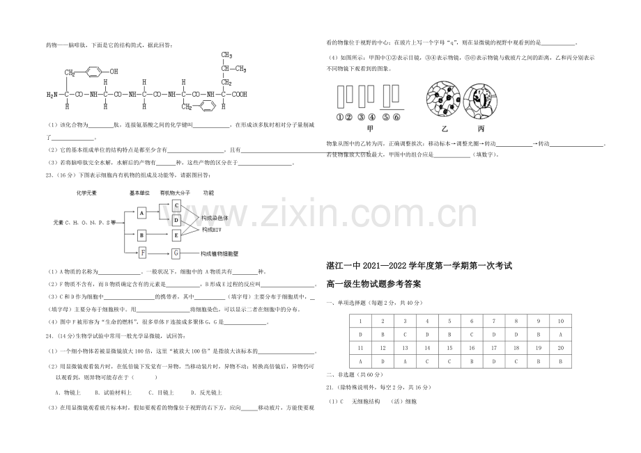 广东省湛江一中2021-2022学年高一上学期期中考试生物试题-Word版含答案.docx_第3页