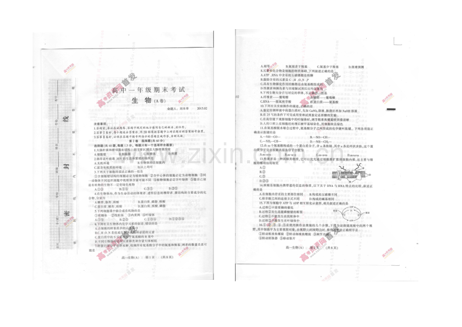 河南省濮阳市2020-2021学年高一上学期期末考试-生物(A卷)-扫描版含答案.docx_第1页