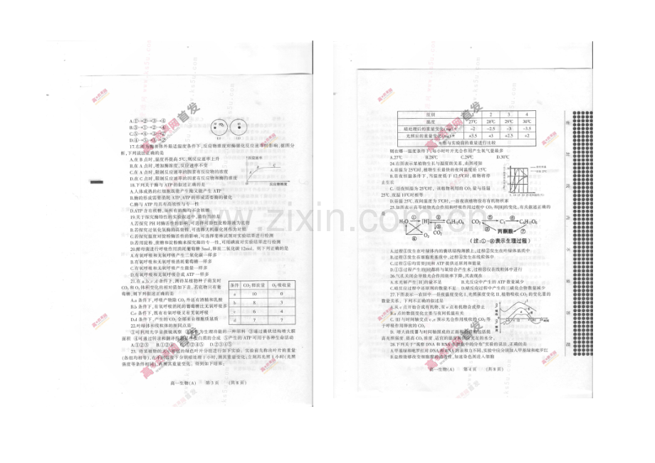 河南省濮阳市2020-2021学年高一上学期期末考试-生物(A卷)-扫描版含答案.docx_第2页