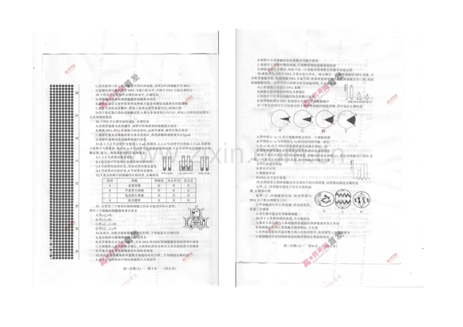 河南省濮阳市2020-2021学年高一上学期期末考试-生物(A卷)-扫描版含答案.docx_第3页