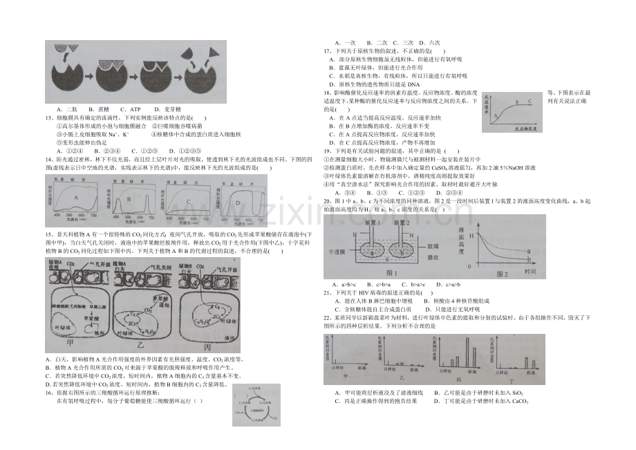 上海市行知中学2020-2021学年高二上学期期中考试生物试题word版含答案.docx_第2页