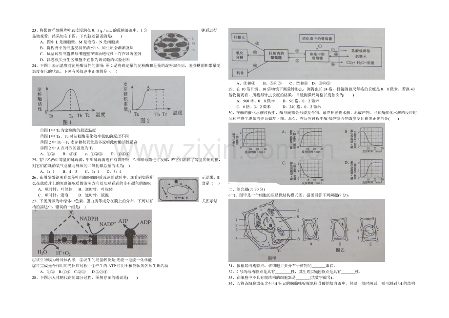 上海市行知中学2020-2021学年高二上学期期中考试生物试题word版含答案.docx_第3页