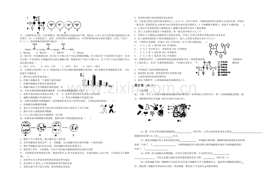 【全国百强校】山东省潍坊第一中学2021届高三上学期第一次(10月)月考生物试题Word版含答案.docx_第3页