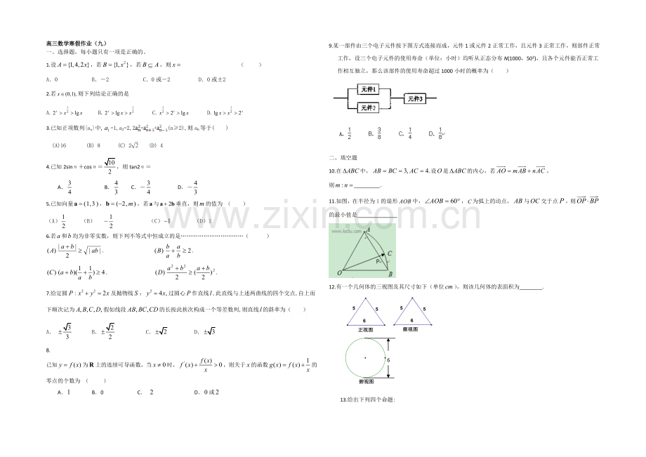 2020-2021学年高三寒假作业-数学(九)Word版含答案.docx_第1页