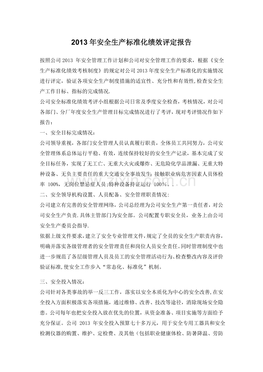 安全生产标准化绩效评定报告.docx_第1页