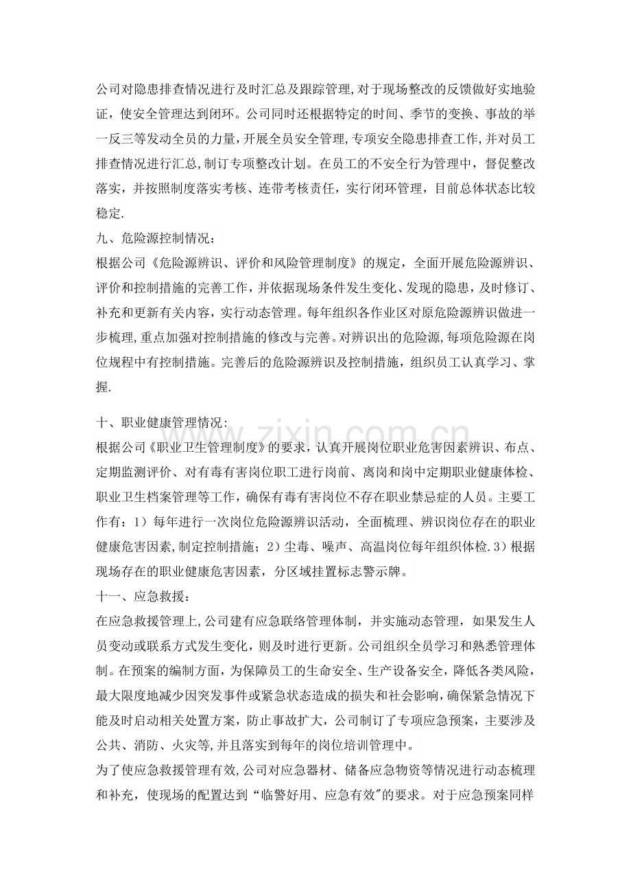 安全生产标准化绩效评定报告.docx_第3页