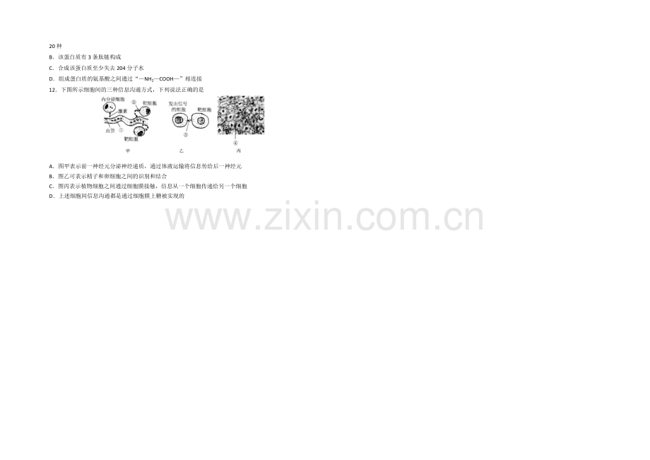 山东省泰安市2021届高三上学期期中考试生物试题Word版含答案.docx_第2页