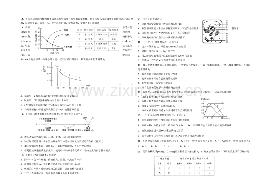 山东省泰安市2021届高三上学期期中考试生物试题Word版含答案.docx_第3页