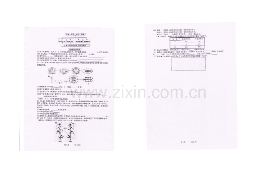 陕西省西安铁一中学2020-2021学年高一4月月考生物试题(扫描版).docx_第3页