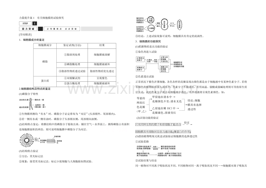 2022年高三生物(人教版)一轮复习-能力提升案1-有关细胞膜的实验探究-能力突破.docx_第1页