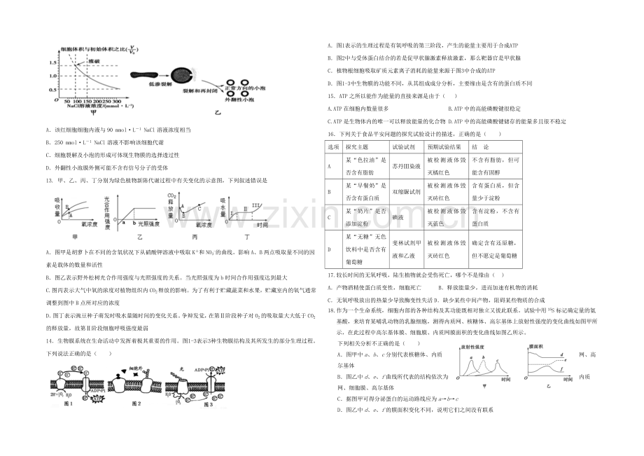 黑龙江省鹤岗一中2020—2021学年高二下学期期末试题-生物-Word版含答案.docx_第2页