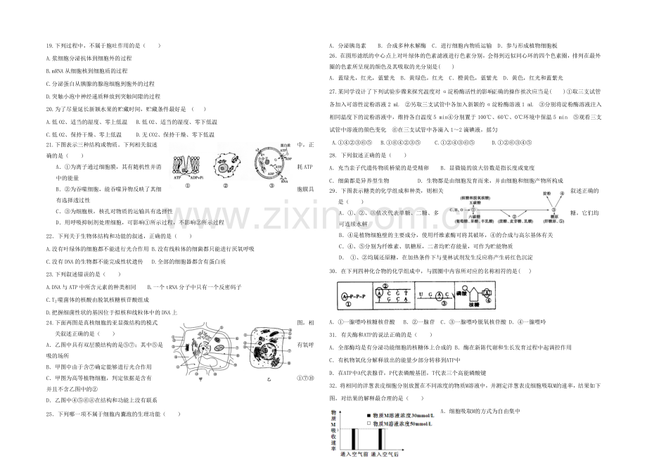 黑龙江省鹤岗一中2020—2021学年高二下学期期末试题-生物-Word版含答案.docx_第3页