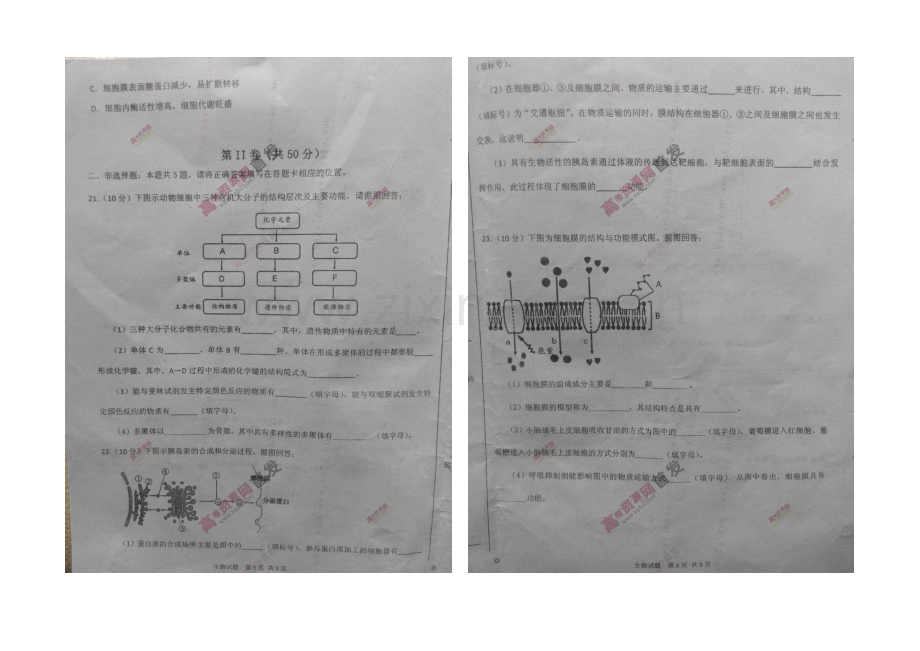 河南省大教育豫北联盟2020-2021学年高一上学期期末联考-生物-扫描版含答案.docx_第3页