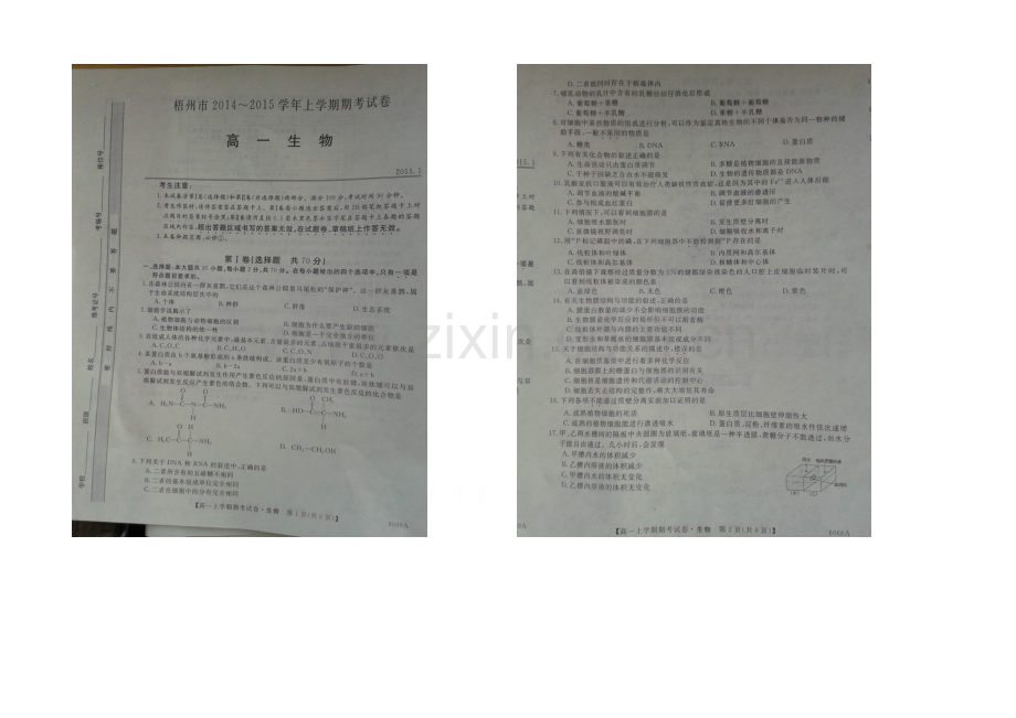 广西省梧州市2020-2021学年高一上学期期末考试生物-扫描版含答案.docx_第1页