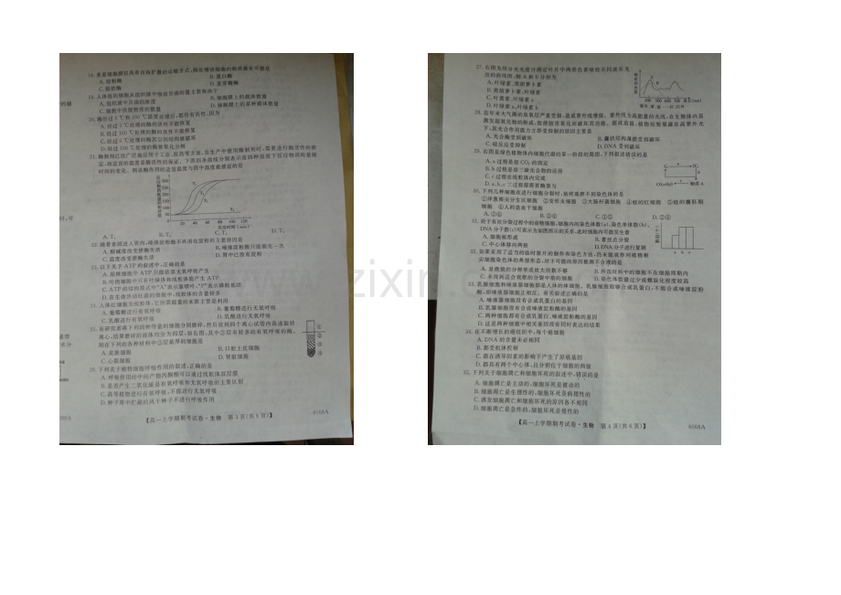 广西省梧州市2020-2021学年高一上学期期末考试生物-扫描版含答案.docx_第2页