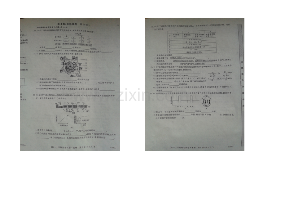 广西省梧州市2020-2021学年高一上学期期末考试生物-扫描版含答案.docx_第3页