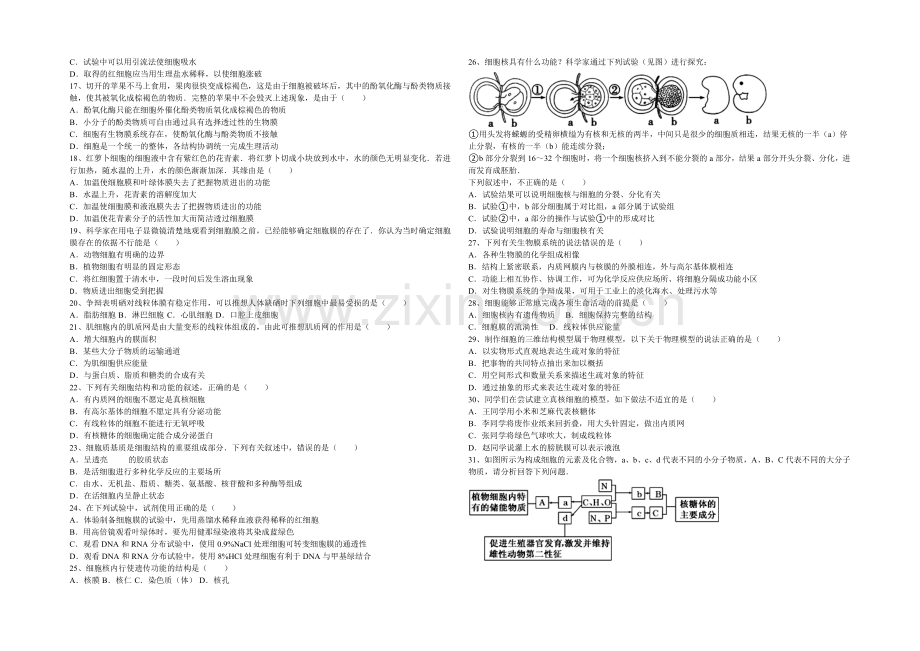 山东省德州市某中学2021-2022学年高一上学期期中考试生物试题-Word版含答案.docx_第2页