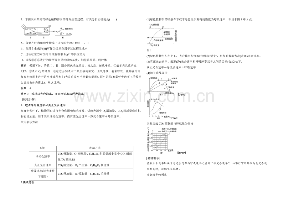 2022年高三生物(人教版)一轮复习-补上一课1-光合作用及光合作用与细胞呼吸综合辨析.docx_第3页