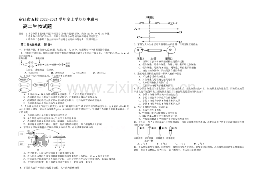 【KS5U发布】江苏省宿迁市五校2020-2021学年高二上学期期中联考试题-生物-Word版含答案.docx_第1页