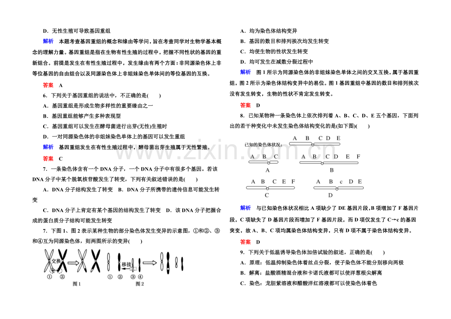 2020-2021学年新课标版生物必修2-阶段测试4-基因突变及其他变异.docx_第2页