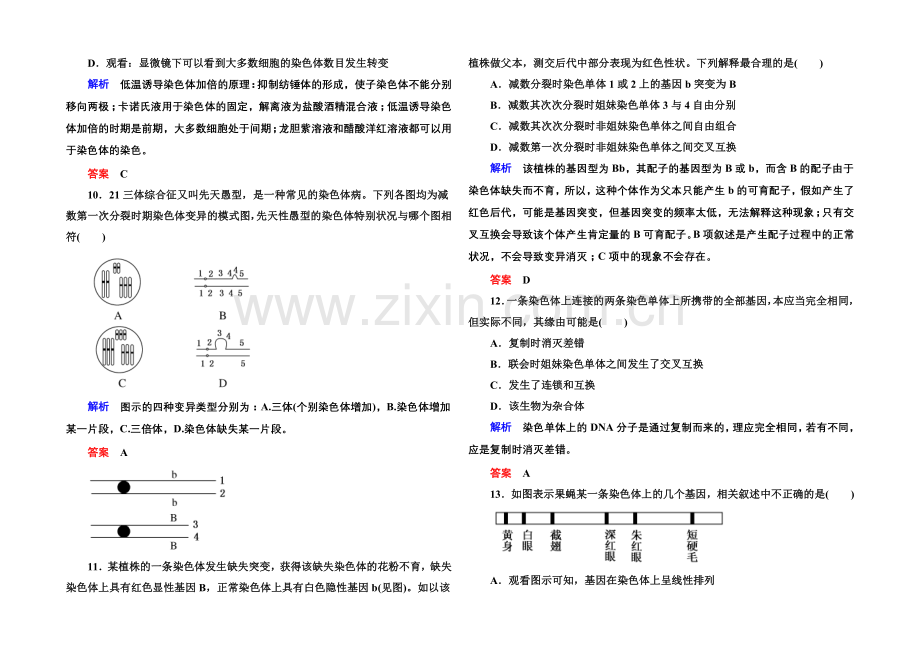 2020-2021学年新课标版生物必修2-阶段测试4-基因突变及其他变异.docx_第3页