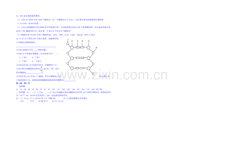 【名师课堂-备课包】2013-2020学年高一下学期生物必修2-课时训练-第三章第2节.docx_第2页