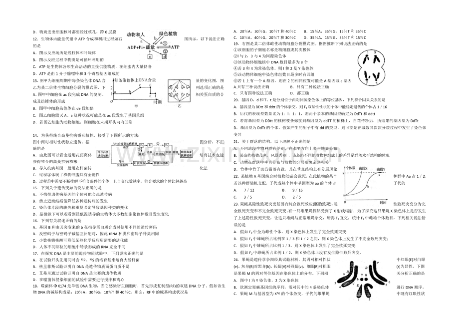 山东省潍坊第一中学2021届高三12月月考生物-word版-含答案.docx_第2页