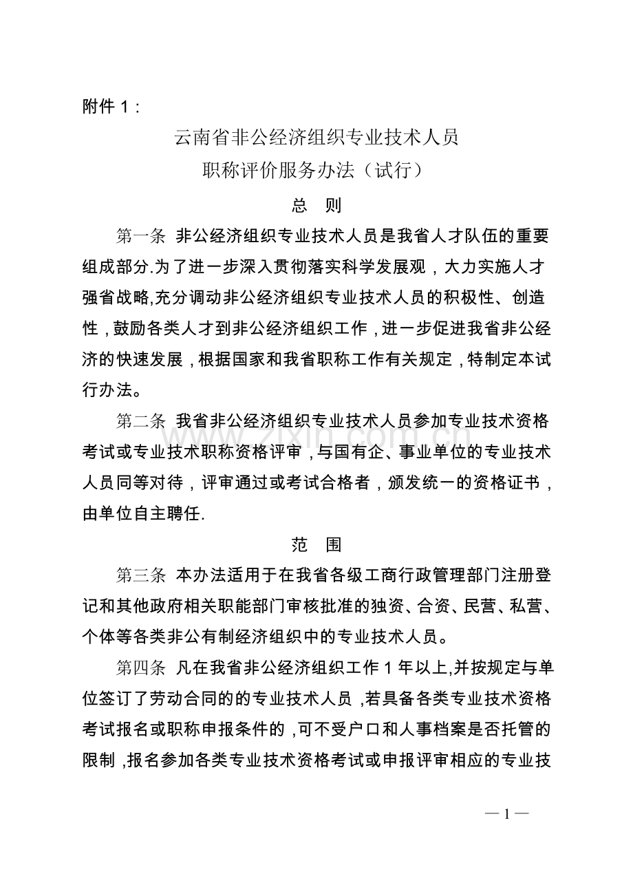 云南省非公经济组织专业技术人员职称评服务办法(试行).doc_第1页