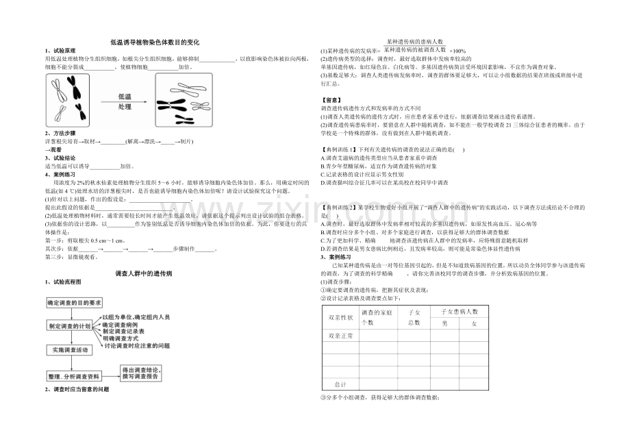 2021版《高频考点》高中生物人教生版考点习题演练-《遗传与进化》实验专题2.docx_第2页