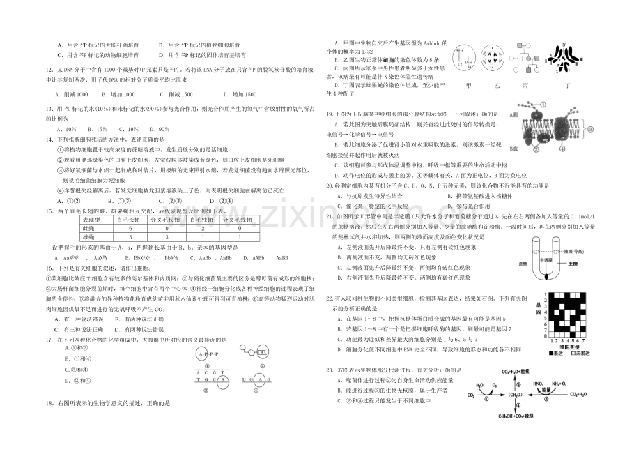 湖南省益阳市箴言中学2022届高三上学期第二次模拟考试-生物-Word版含答案.docx_第2页