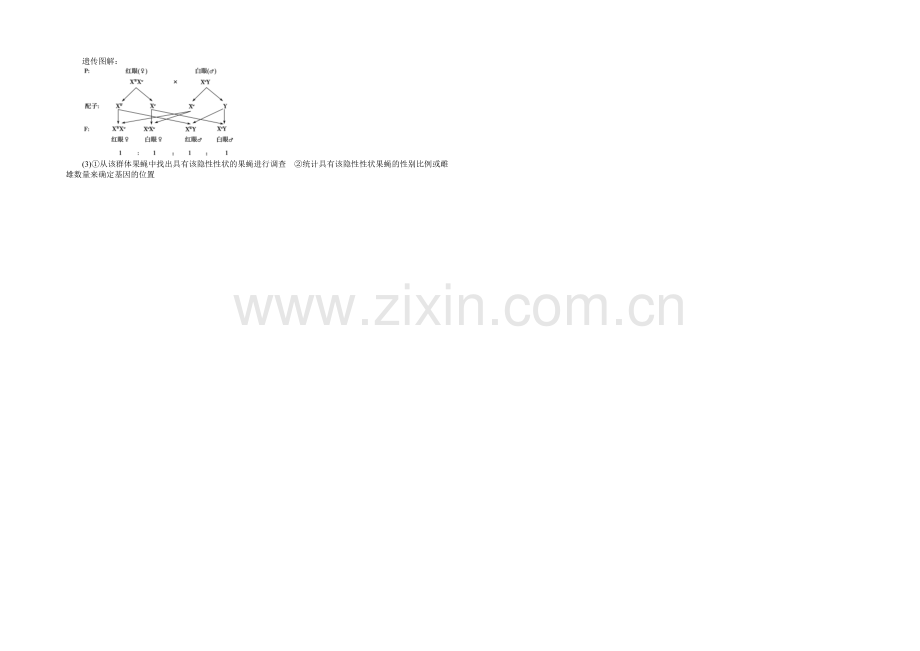 2021高考总复习优化方案生物-课时课后达标检测15基因在染色体上和伴性遗传-Word版含解析.docx_第3页