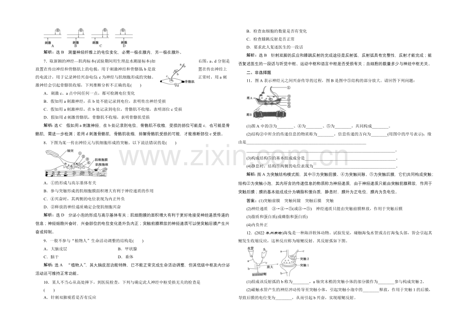 2021高考生物一轮复习训练：必修3--第15章--第1讲--通过神经系统的调节.docx_第2页