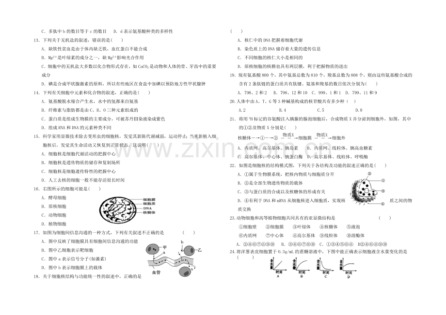 福建省莆田二十四中2020-2021学年高一上学期期末考试生物-Word版含答案.docx_第2页