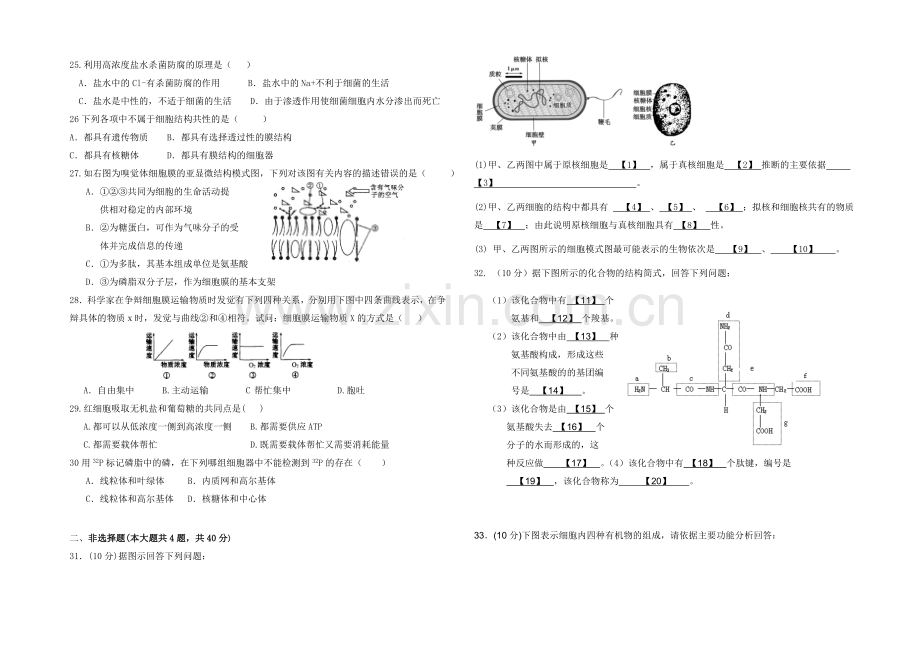 福建省莆田二十四中2020-2021学年高一上学期期末考试生物-Word版含答案.docx_第3页