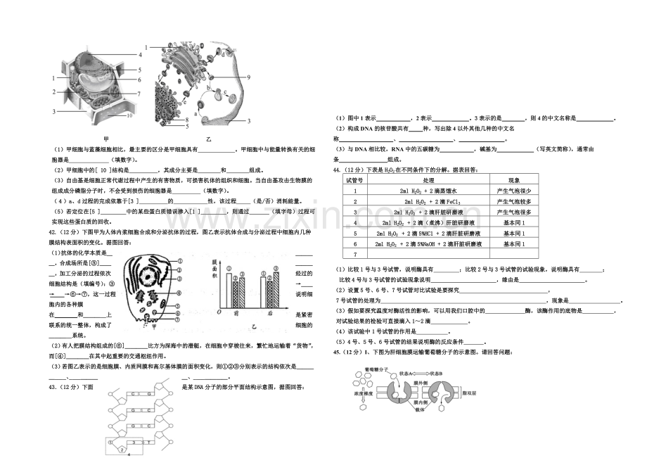 宁夏银川九中2020-2021学年高二上学期期中考试-生物-Word版含答案.docx_第3页