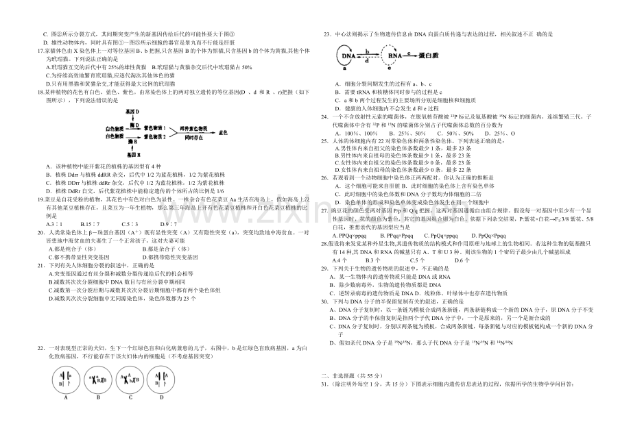 山东版2022届高三上学期第二次月考-生物-Word版含答案.docx_第2页