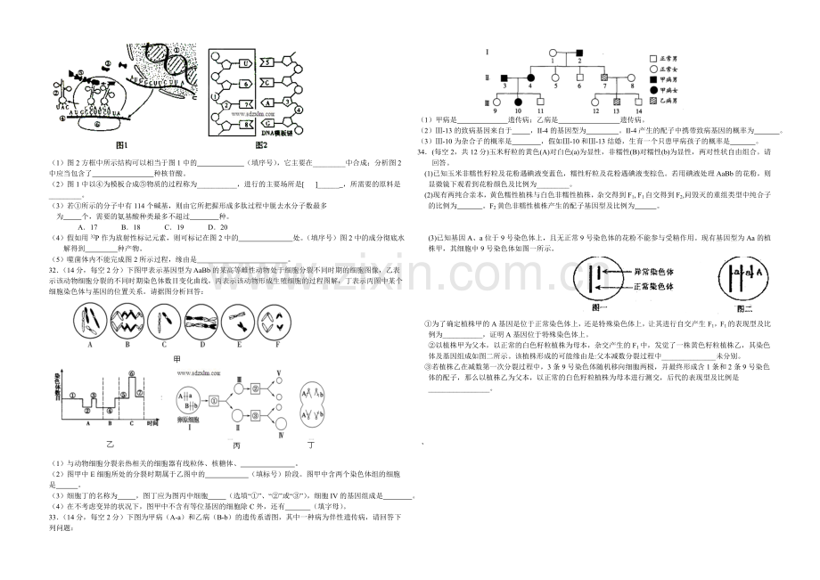 山东版2022届高三上学期第二次月考-生物-Word版含答案.docx_第3页