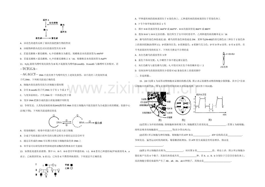 山东省德州市某中学2022届高三上学期期中考试生物试题-Word版含答案.docx_第2页