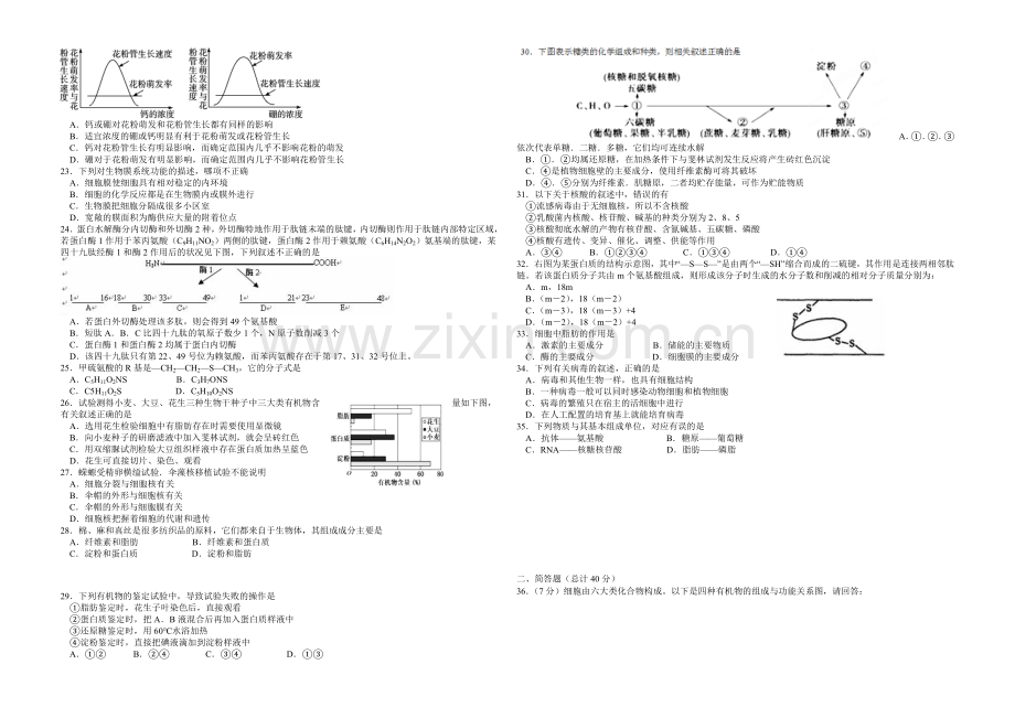 新课标2021-2022学年高一上学期第二次月考-生物-Word版含答案.docx_第2页