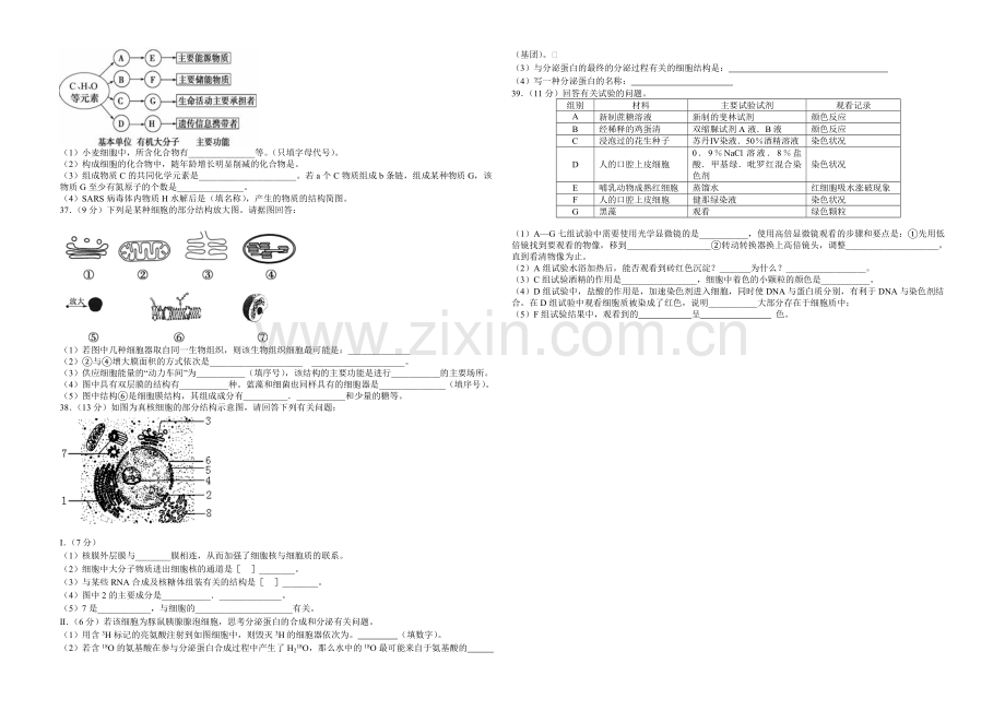 新课标2021-2022学年高一上学期第二次月考-生物-Word版含答案.docx_第3页