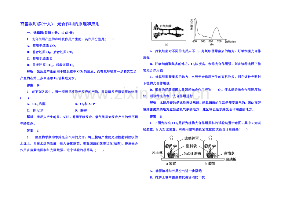 2020-2021学年高中生物必修一-双基限时练19.docx_第1页