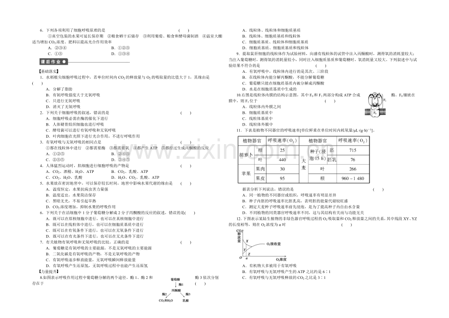 2021-2022高中生物(人教版必修一)：第五章-细胞的能量供应和利用-课时作业21.docx_第2页