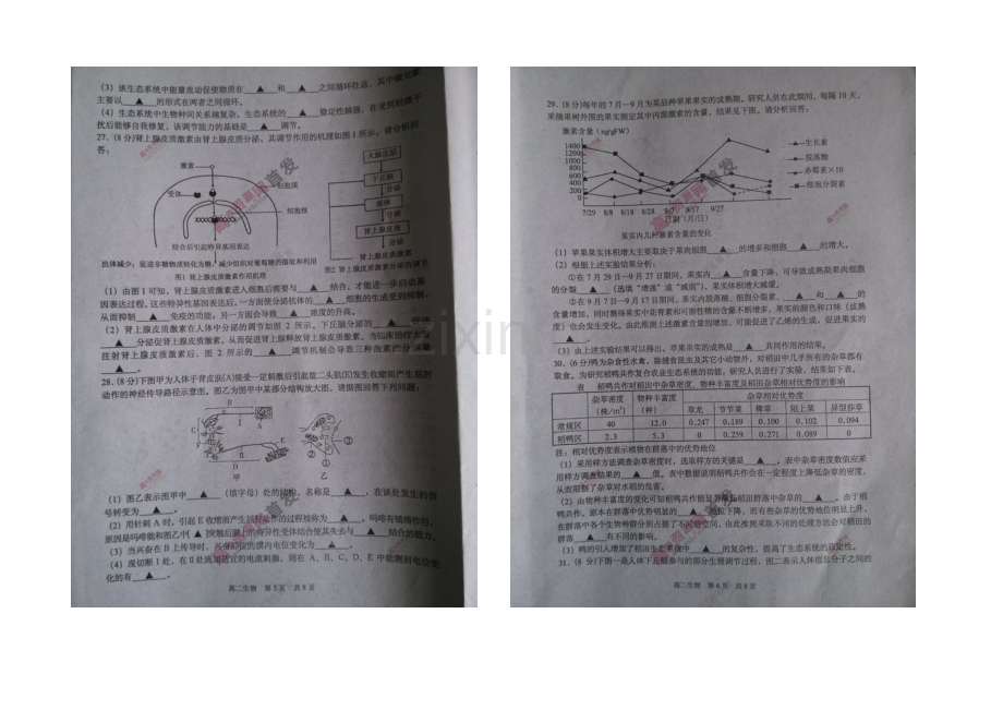 江苏省东台市2020-2021学年高二上学期期末考试-生物-扫描版含答案.docx_第3页