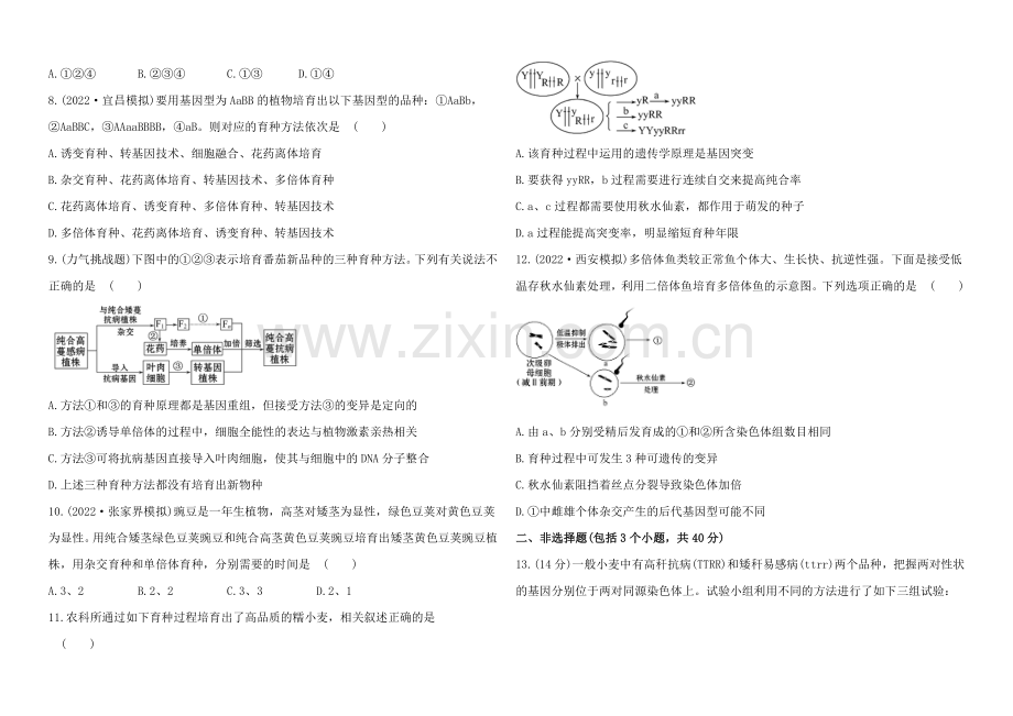 2021高考生物一轮课时作业26-必修2--6从杂交育种到基因工程.docx_第2页