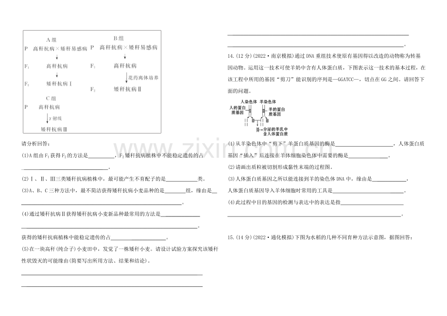 2021高考生物一轮课时作业26-必修2--6从杂交育种到基因工程.docx_第3页