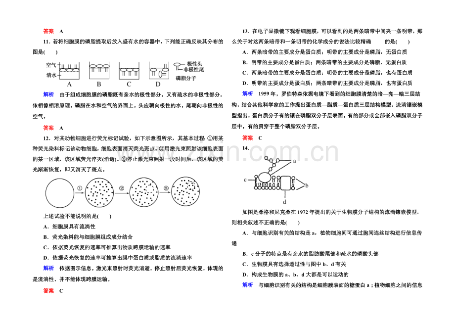 2020-2021学年高中生物(人教版)必修一双基限时练12-生物膜的流动镶嵌模型.docx_第3页